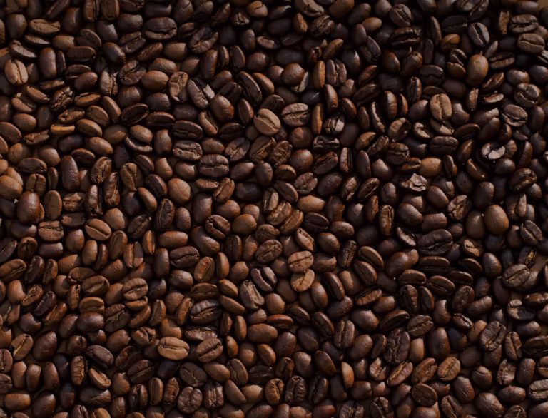 Comment choisir une machine à café fiable en 2026?